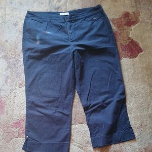 Christopher & Banks Dark Blue Cropped Pants